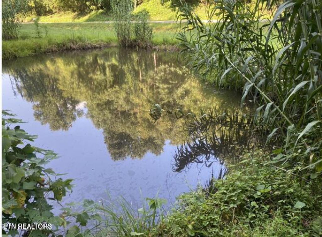 Photo of 2355 Old Hwy 68, Sweetwater, TN 37874 (MLS # 1286274)