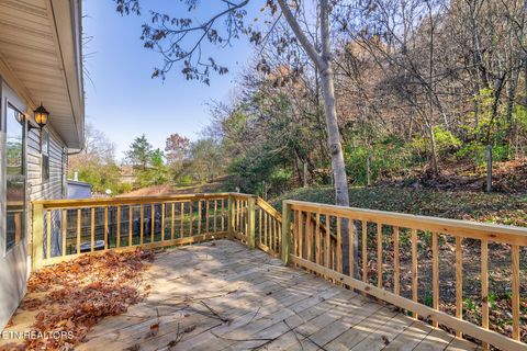 Tiny photo for 503 Long Ave, Newport, TN 37821 (MLS # 1347026)