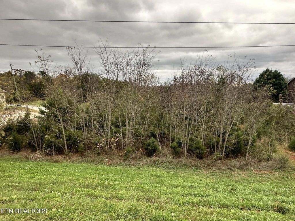 Photo of 1 Highway 92, Dandridge, TN 37725 (MLS # 1328908)