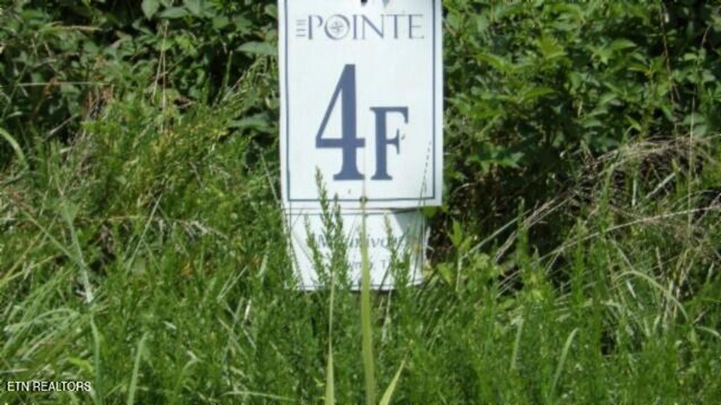 Photo of 4 Trout Lane, Hilham, TN 38568 (MLS # 1328549)