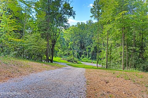Photo of 1700 Bluff Rd, Harriman, TN 37748 (MLS # 1322427)