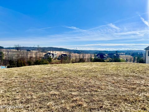 Photo of 585 Zepher Drive, Lenoir City, TN 37772 (MLS # 1329269)