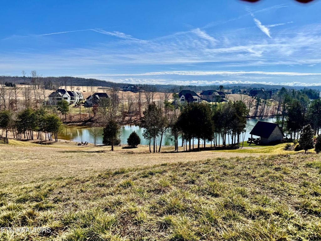 Photo of 585 Zepher Drive, Lenoir City, TN 37772 (MLS # 1329269)