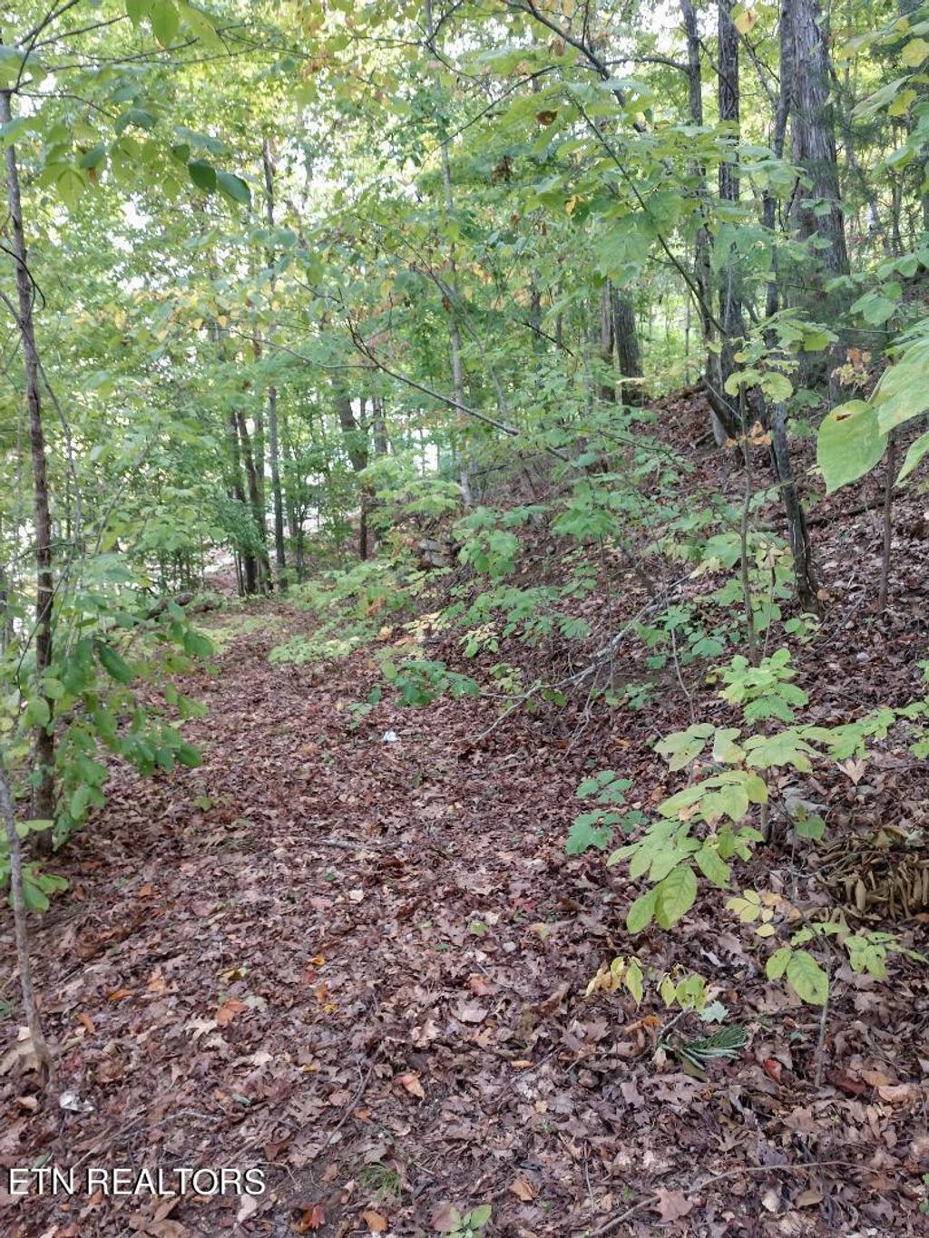 Photo of Hurricane Hollow Rd, Maynardville, TN 37807 (MLS # 1242316)