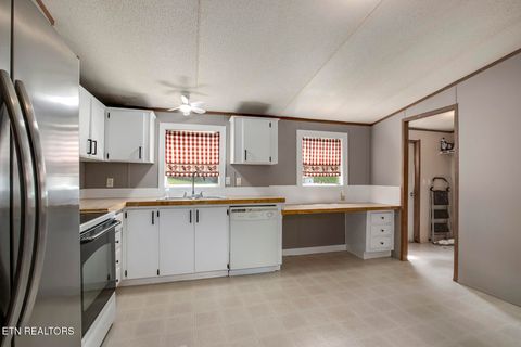 Tiny photo for 1725 Euchee Rd, Ten Mile, TN 37880 (MLS # 1338914)
