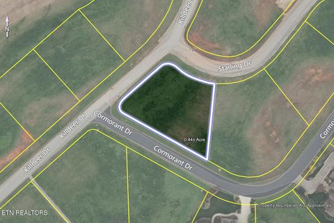 Tiny photo for 200 Killdeer Drive, Vonore, TN 37885 (MLS # 1335246)