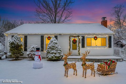 Photo of 364 Jasmine Drive, Newport, TN 37821 (MLS # 1324323)