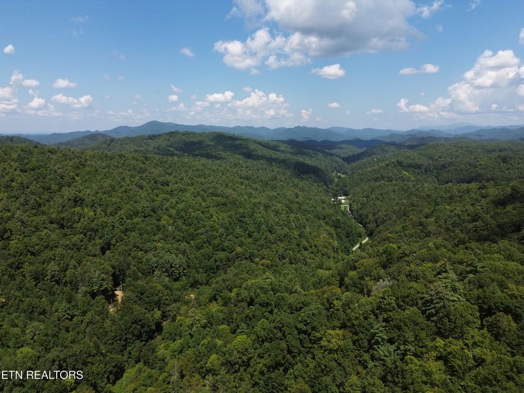 Photo of Bull Mountain Rd, Del Rio, TN 37727 (MLS # 1312511)