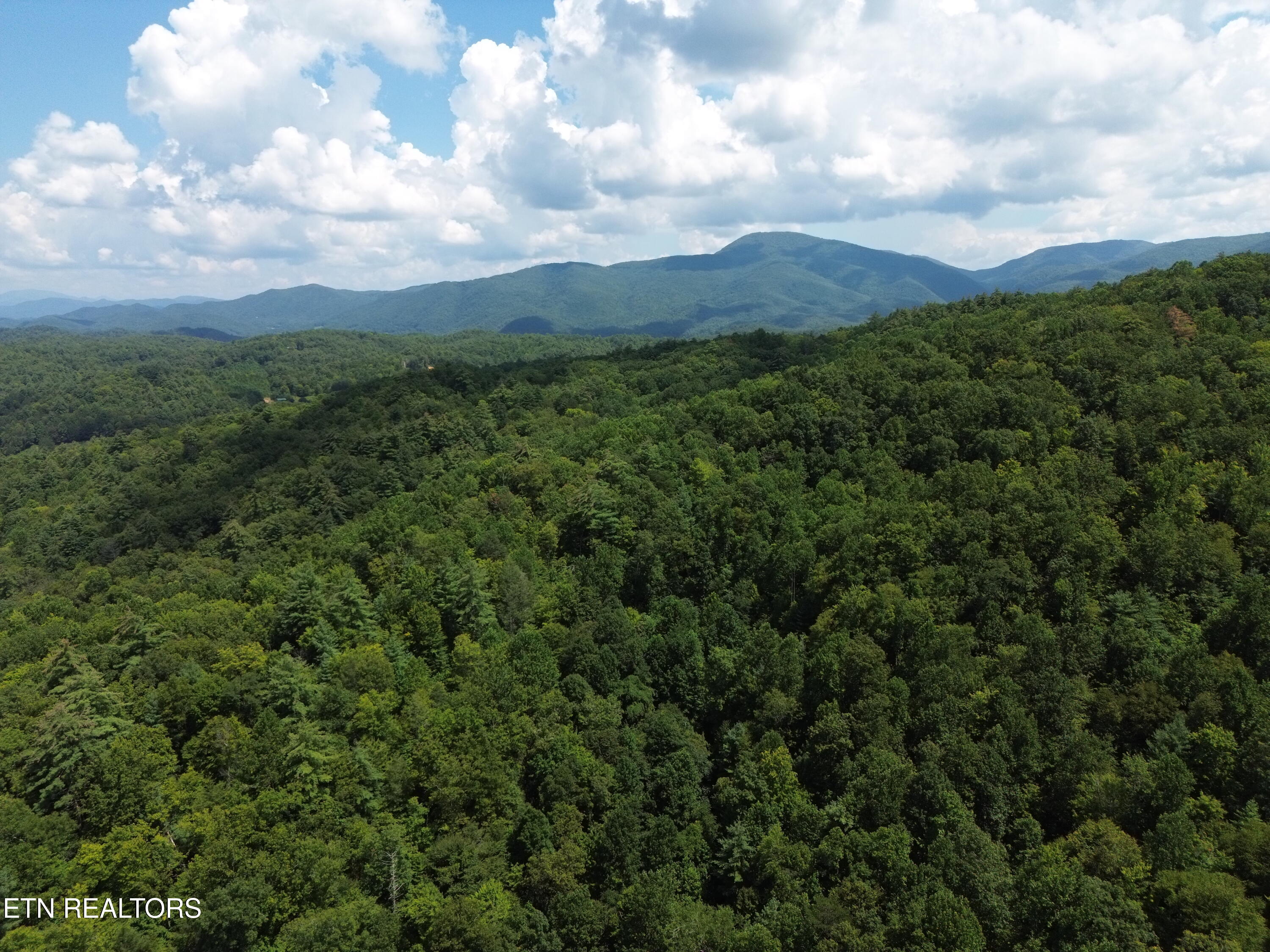 DJI_0125_50