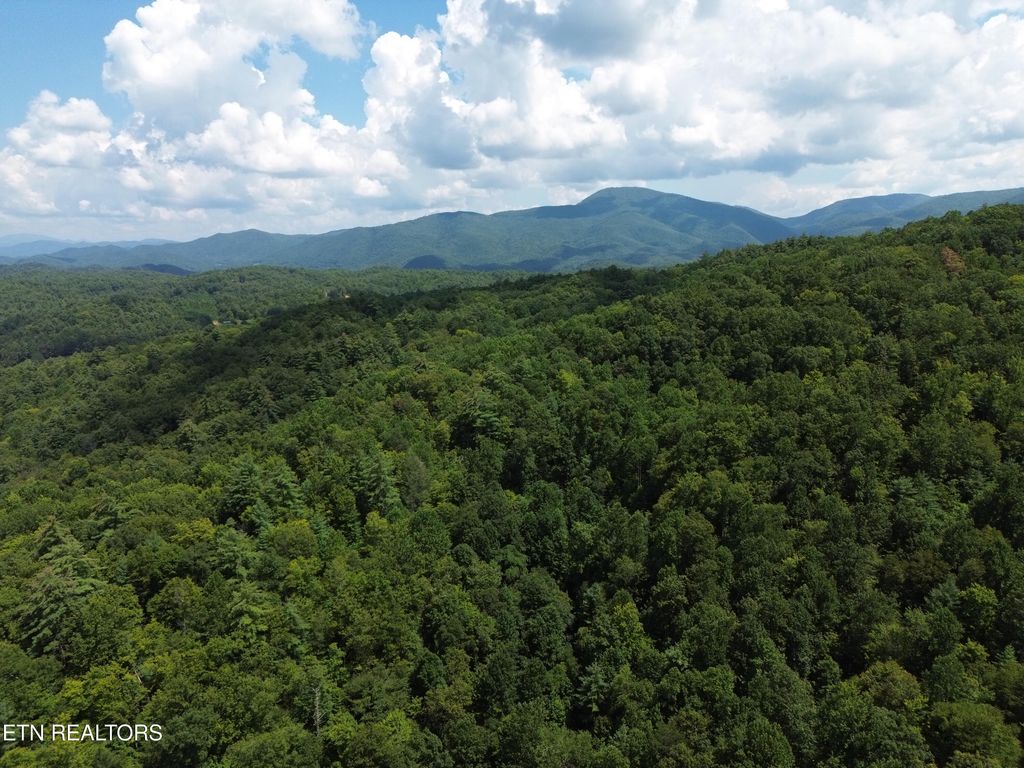 Photo of Bull Mountain Rd, Del Rio, TN 37727 (MLS # 1312511)