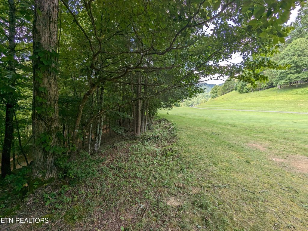 Photo of 742 Hunters Run Rd, Townsend, TN 37882 (MLS # 1271889)