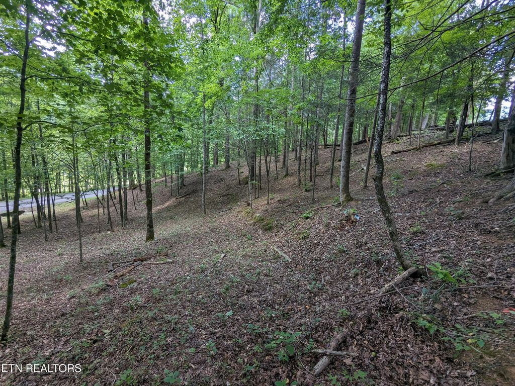 Photo of 742 Hunters Run Rd, Townsend, TN 37882 (MLS # 1271889)