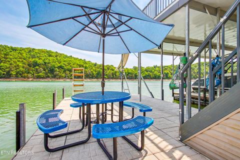 Tiny photo for 597 E Norris Point Rd, LaFollette, TN 37766 (MLS # 1342090)