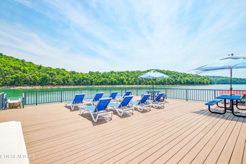 Tiny photo for 597 E Norris Point Rd, LaFollette, TN 37766 (MLS # 1342090)