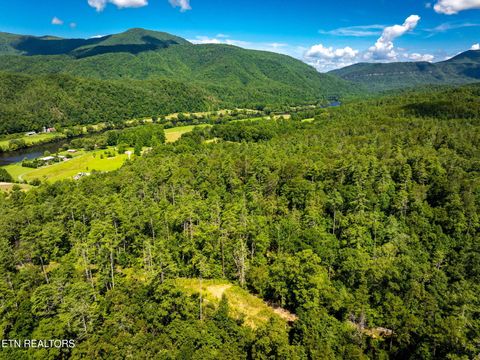 37+/- Hambright Dr Rd Reliance TN 37369