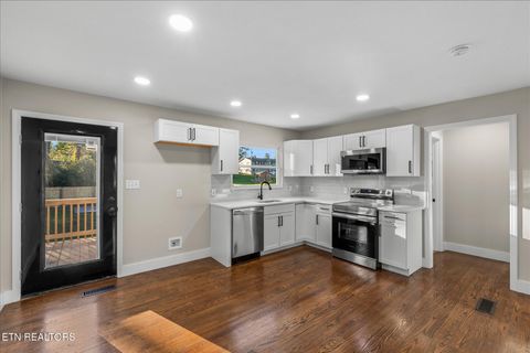 Tiny photo for 222 Starrett St, Sweetwater, TN 37874 (MLS # 1327946)