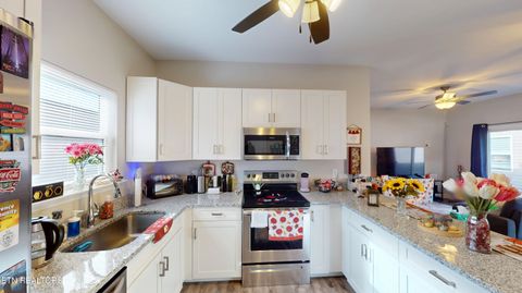 Tiny photo for 110 Norman Creek Rd, Evensville, TN 37332 (MLS # 1321701)