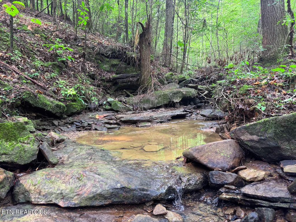 Photo of Sheep Ranch Rd, Robbins, TN 37852 (MLS # 1314919)