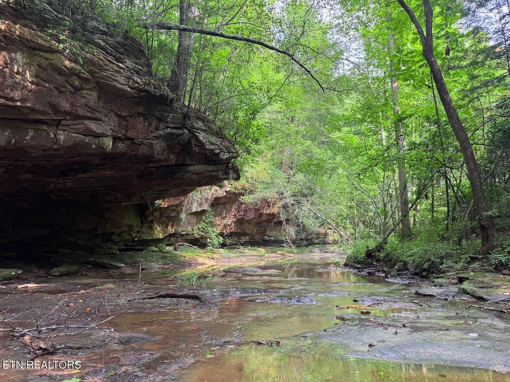 Photo of Sheep Ranch Rd, Robbins, TN 37852 (MLS # 1314919)