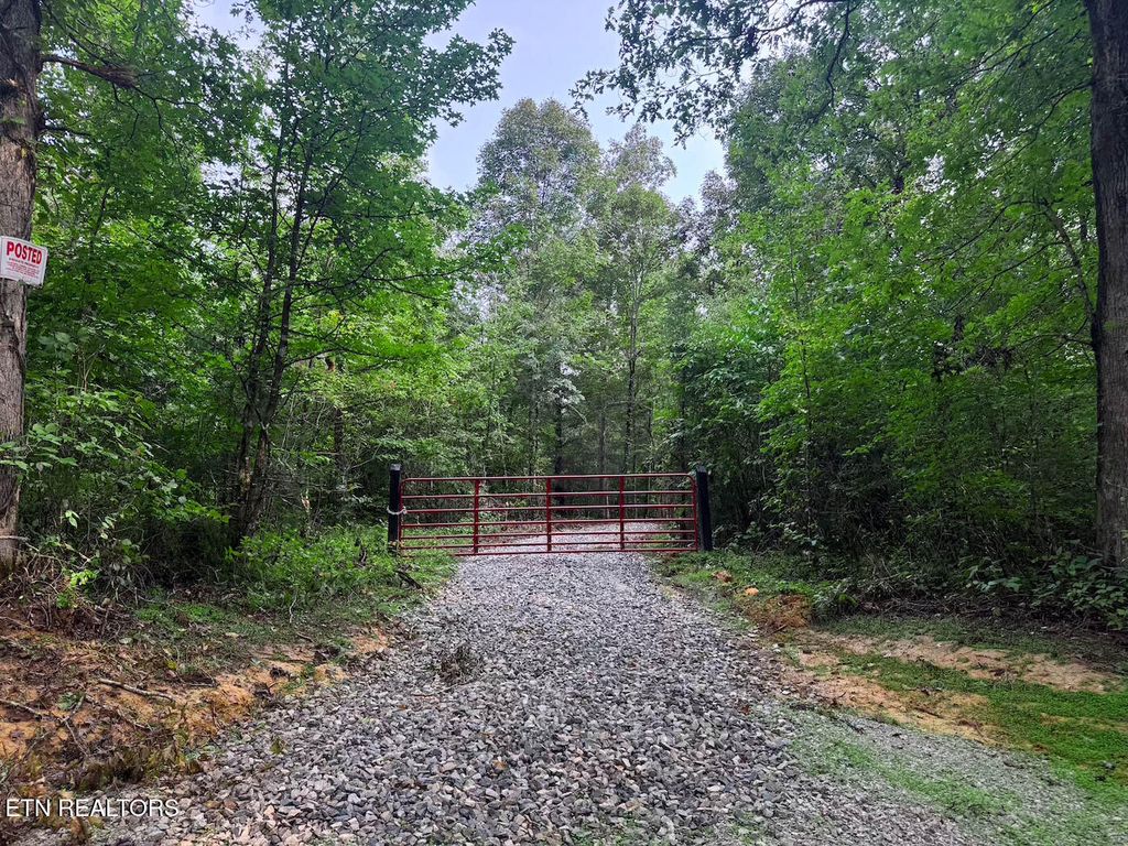 Photo of Sheep Ranch Rd, Robbins, TN 37852 (MLS # 1314919)