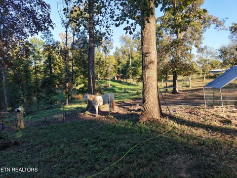 Tiny photo for 145 Linwood Drive, Sweetwater, TN 37874 (MLS # 1359980)
