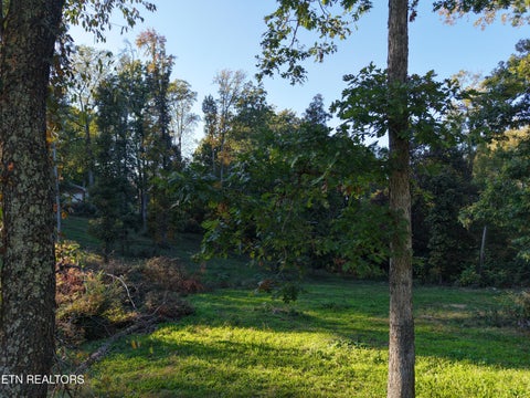 Tiny photo for 145 Linwood Drive, Sweetwater, TN 37874 (MLS # 1359980)