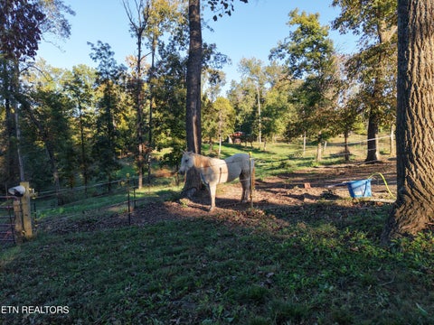Tiny photo for 145 Linwood Drive, Sweetwater, TN 37874 (MLS # 1359980)
