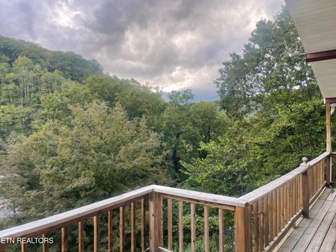 Tiny photo for 628 Nettleton Rd, Harrogate, TN 37752 (MLS # 1316733)