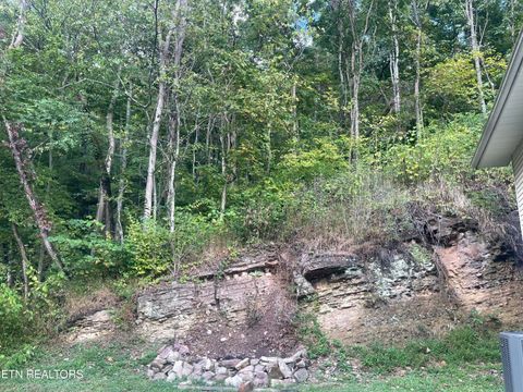 Tiny photo for 628 Nettleton Rd, Harrogate, TN 37752 (MLS # 1316733)
