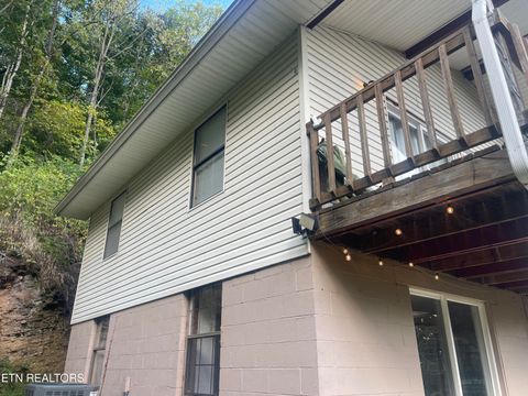 Tiny photo for 628 Nettleton Rd, Harrogate, TN 37752 (MLS # 1316733)