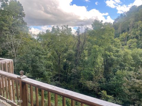 Tiny photo for 628 Nettleton Rd, Harrogate, TN 37752 (MLS # 1316733)
