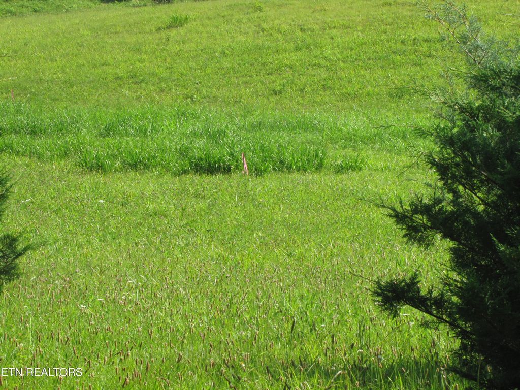 Photo of Edgewood Drive, Sweetwater, TN 37874 (MLS # 1305693)