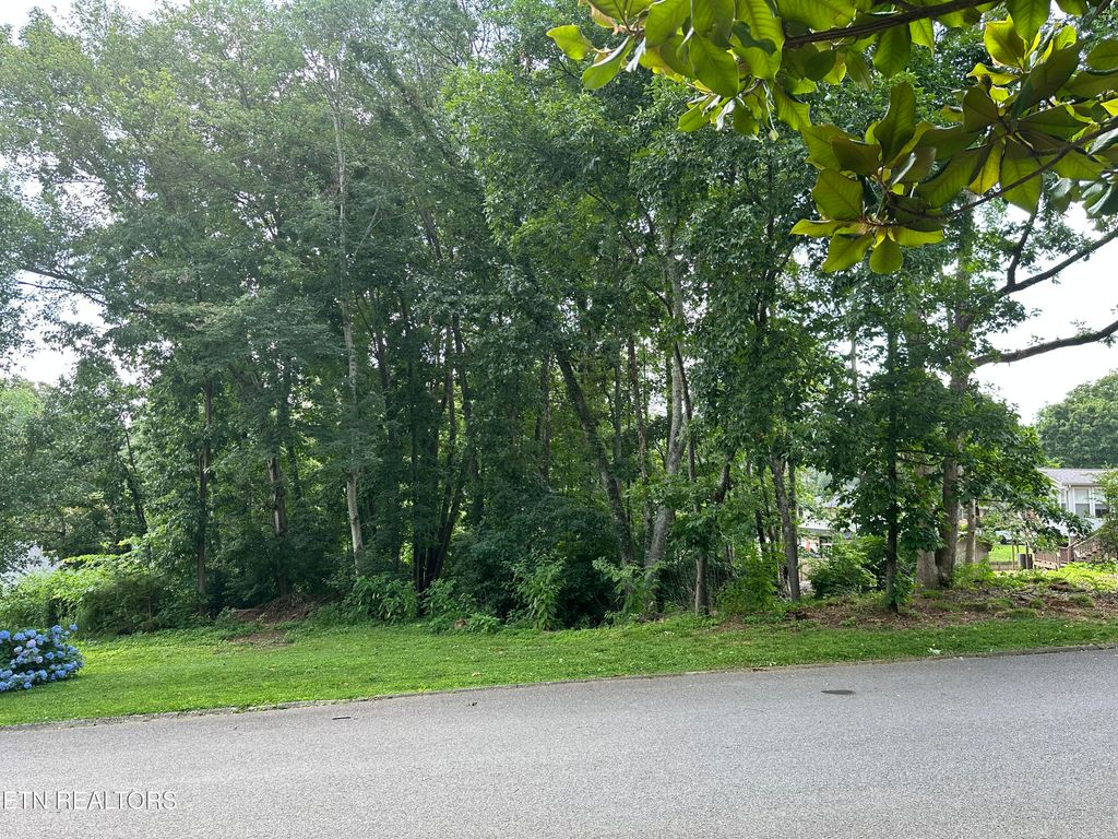 Photo of 7925 Widdecomb Rd, Powell, TN 37849 (MLS # 1305163)