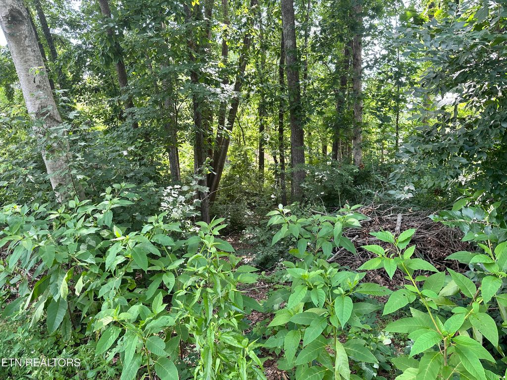 Photo of 7925 Widdecomb Rd, Powell, TN 37849 (MLS # 1305163)