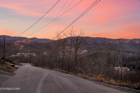 Tiny photo for 3 Tower Rd, Gatlinburg, TN 37738 (MLS # 1312629)