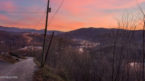 Tiny photo for 3 Tower Rd, Gatlinburg, TN 37738 (MLS # 1312629)