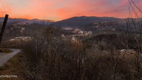 Tiny photo for 3 Tower Rd, Gatlinburg, TN 37738 (MLS # 1312629)