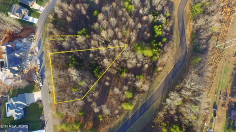 Tiny photo for 97 Falcon Tr, Vonore, TN 37885 (MLS # 1326723)