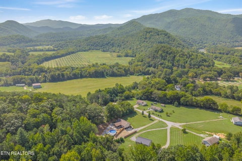 Tiny photo for 221 Pearl Meadows Way, Del Rio, TN 37727 (MLS # 1356179)