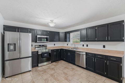 Tiny photo for 221 Pearl Meadows Way, Del Rio, TN 37727 (MLS # 1356179)