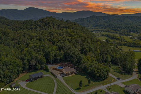 Tiny photo for 221 Pearl Meadows Way, Del Rio, TN 37727 (MLS # 1356179)