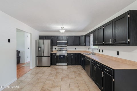 Tiny photo for 221 Pearl Meadows Way, Del Rio, TN 37727 (MLS # 1356179)