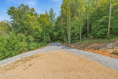 Tiny photo for 221 Pearl Meadows Way, Del Rio, TN 37727 (MLS # 1356179)