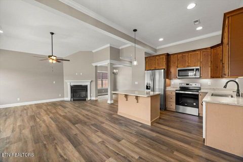 Tiny photo for 225 Lake View Point, Englewood, TN 37329 (MLS # 1337594)