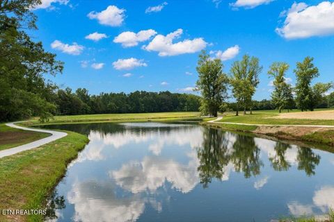 Tiny photo for 225 Lake View Point, Englewood, TN 37329 (MLS # 1337594)