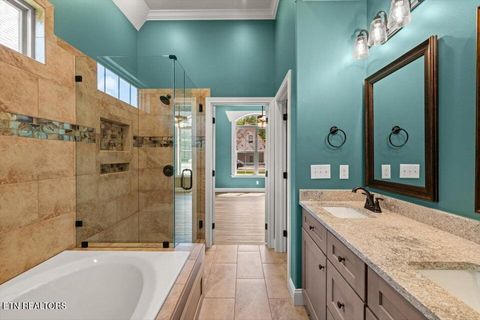 Tiny photo for 225 Lake View Point, Englewood, TN 37329 (MLS # 1337594)