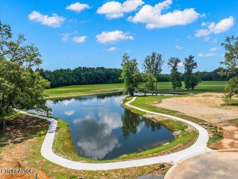 Tiny photo for 225 Lake View Point, Englewood, TN 37329 (MLS # 1337594)