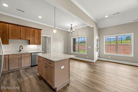 Tiny photo for 225 Lake View Point, Englewood, TN 37329 (MLS # 1337594)