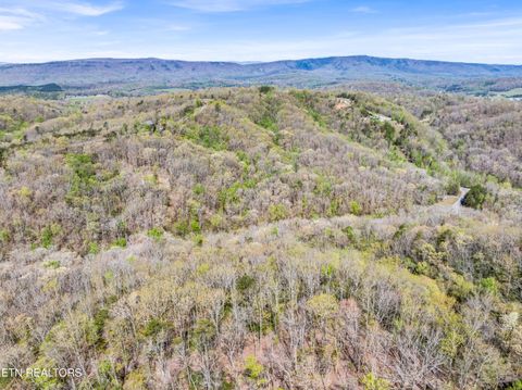 Tiny photo for Hidden Oaks Rd #Lot  444, Rockwood, TN 37854 (MLS # 1335184)