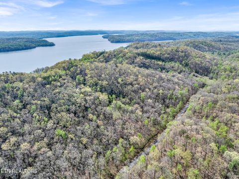 Tiny photo for Hidden Oaks Rd #Lot  444, Rockwood, TN 37854 (MLS # 1335184)